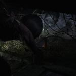 Fatal Frame II: Crimson Butterfly Remake (PS5)
