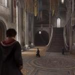Hogwarts Legacy (PS5)