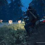 Days Gone (PS4)