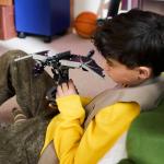 LEGO: Minecraft - The Ender Dragon