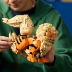 LEGO: Pokemon Arcanine