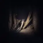Reanimal (PS5)